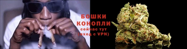 амф Бронницы